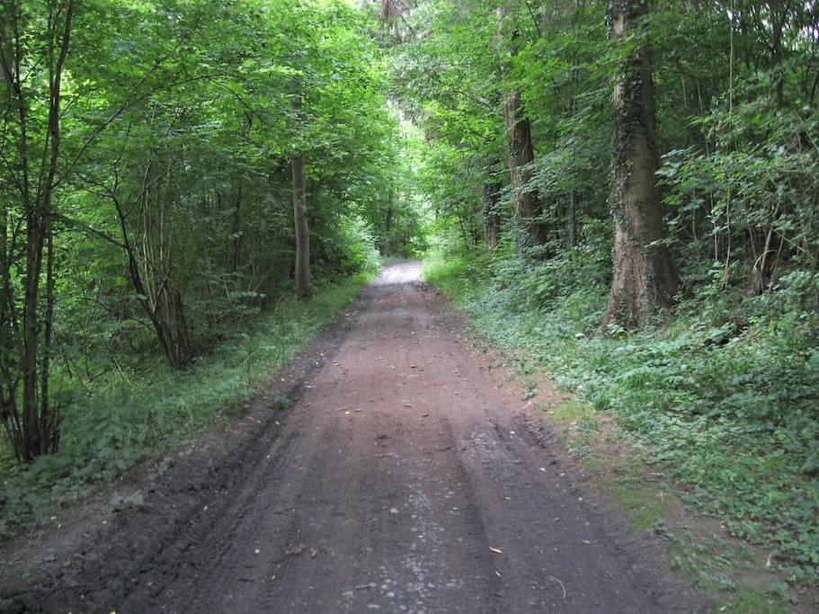 Gite Rural "L'Anseromia" Dinant Zewnętrze zdjęcie