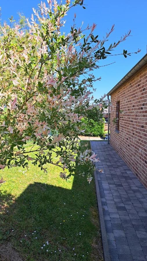 Gite Rural "L'Anseromia" Dinant Zewnętrze zdjęcie